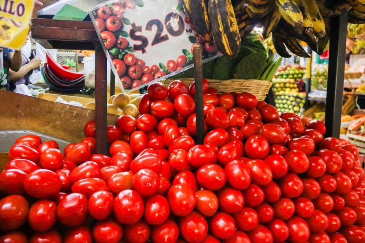 Arancel de Trump al tomate golpea a productores de San Quintín Arancel de Trump al tomate golpea a productores de San Quintín