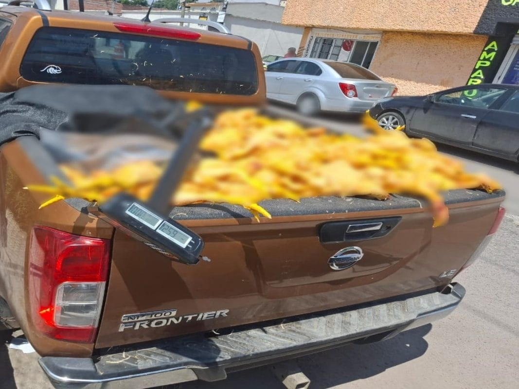 Así extorsionaban con pollos en Edomex: cae célula criminal