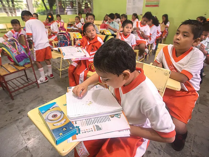 "Bibliotecaria Ciclista": La heroína anónima que pedalea para sembrar la lectura en los campos de Veracruz