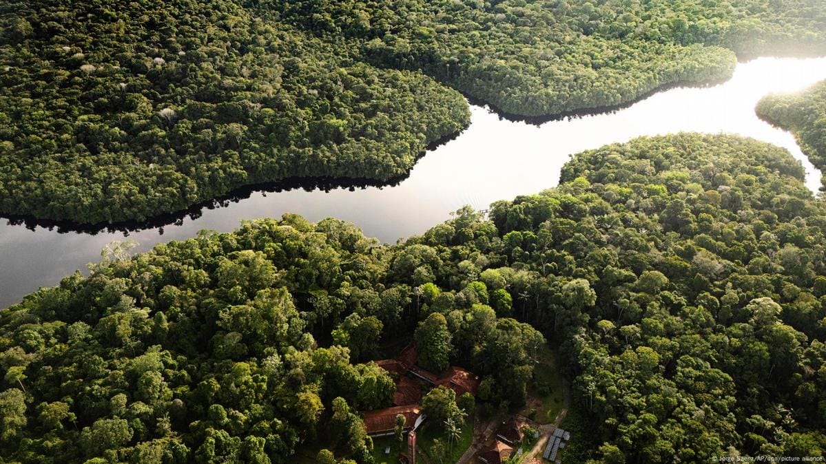 Congreso de Brasil Abre la Puerta a la Amazonía