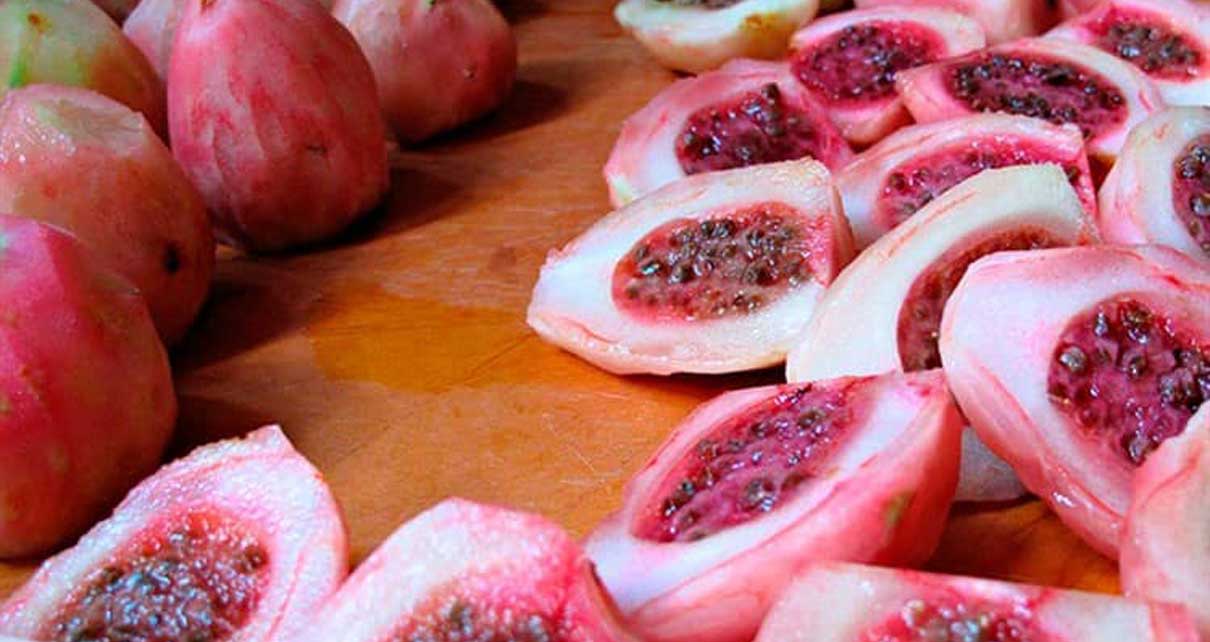 ¿Cuáles son las propiedades curativas del xoconostle?