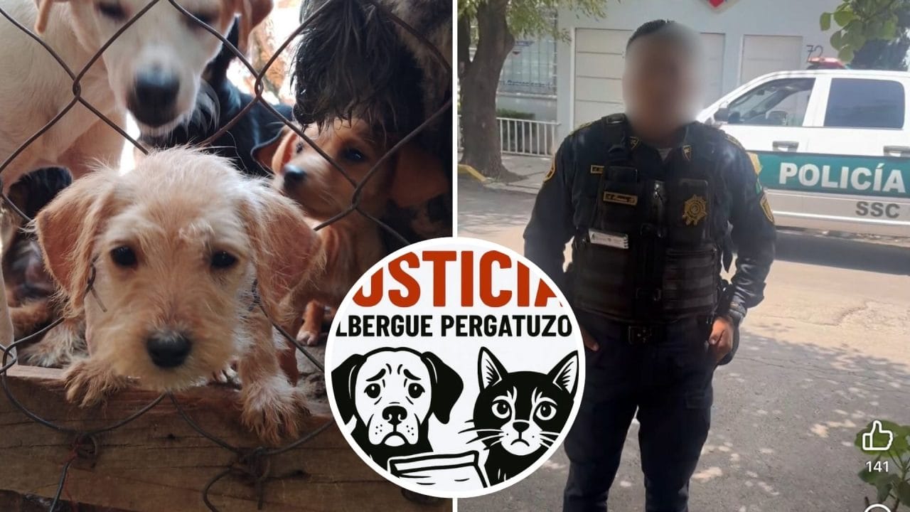 Caso Pergatuzoo: la crisis política que exhibe al gobierno del Edomex