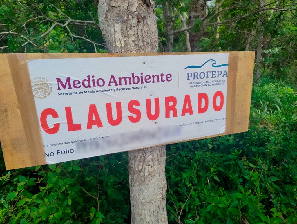 Ecocidio en Yucatán: frenan desmonte masivo de selva en Tekax