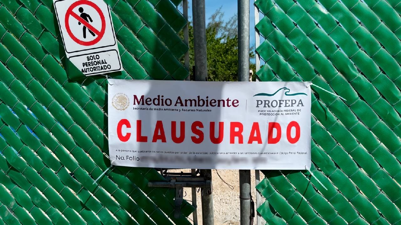 Clausura Profepa desarrollos en Holbox por ecocidio Clausura Profepa desarrollos en Holbox por ecocidio