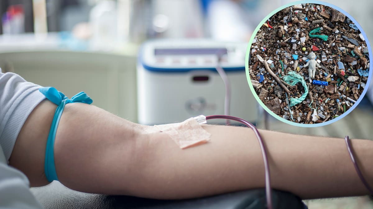 Contaminación plástica: el enemigo invisible que está en el aire, el agua y hasta en nuestra sangre