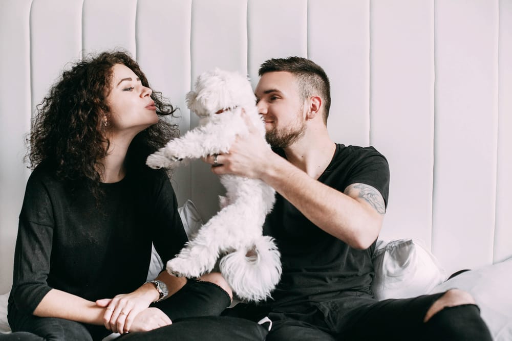 “Perrihijos” y caída de la natalidad: cómo cambian las familias y los vínculos en el siglo XXI