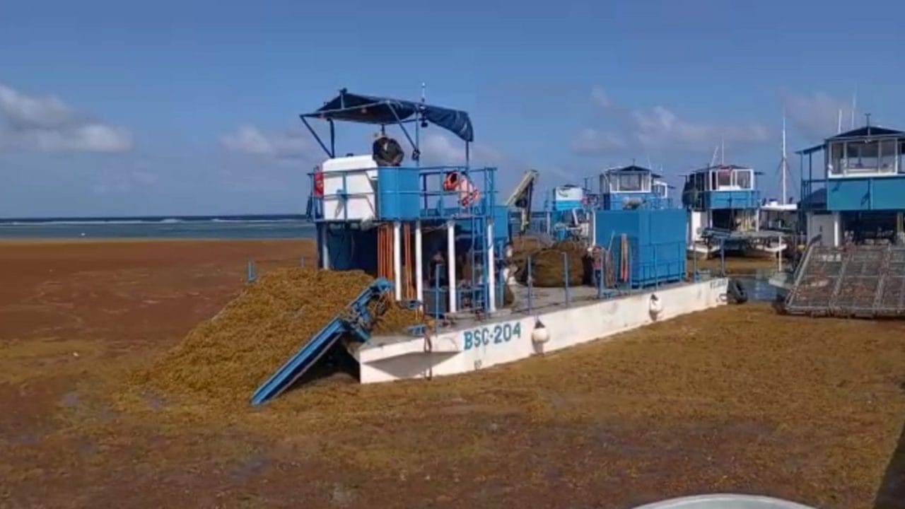 Mara Lezama refuerza estrategia contra el sargazo con Marina y Semarnat en Quintana Roo Mara Lezama refuerza estrategia contra el sargazo con Marina y Semarnat en Quintana Roo