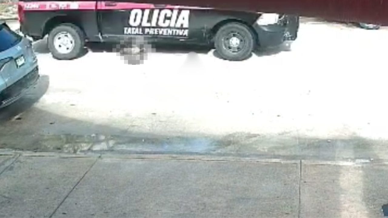 SSC de Quintana Roo investiga a policías que atropellaron a perrito en Cancún