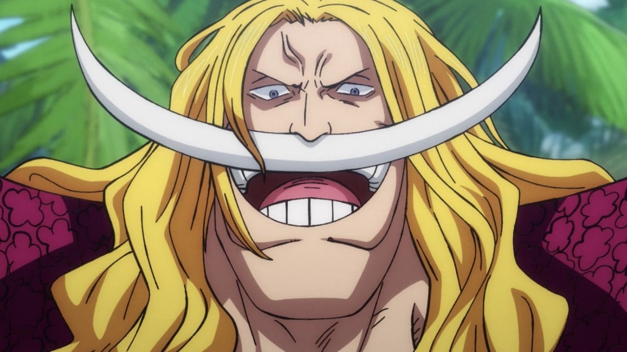 Fans de One Piece dudan del hijo de Barbablanca: ¿es un clon?