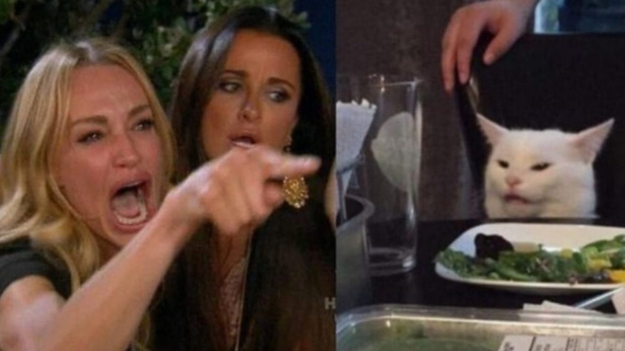 La mujer gritándole a un gato