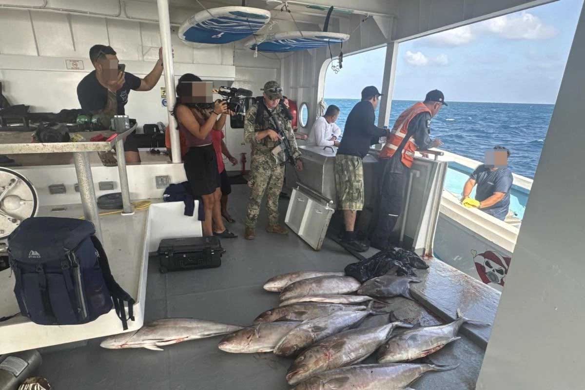 Marina retiene yate por pesca ilegal en el Arrecife Alacranes, Yucatán