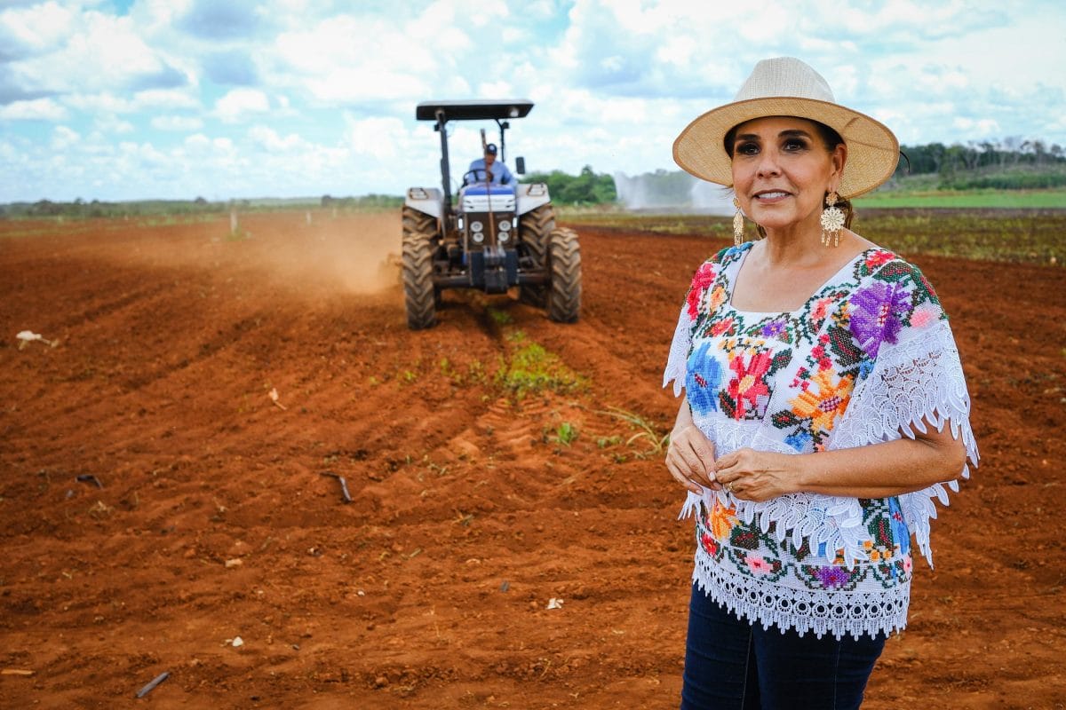 Arranca programa rehabilitación de caminos sacacosechas en Quintana Roo Arranca programa rehabilitación de caminos sacacosechas en Quintana Roo