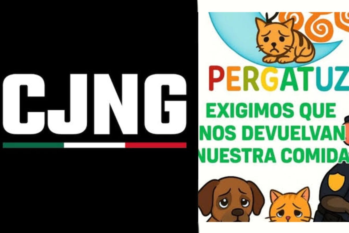 Pergatuzoo: La batalla legal inicia en el búnker de la Fiscalía CDMX
