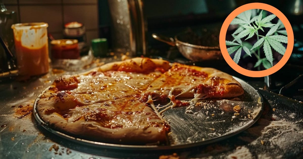 Pizzería de Wisconsin provoca intoxicaciones por alimentos contaminados con THC Pizzería de Wisconsin provoca intoxicaciones por alimentos contaminados con THC