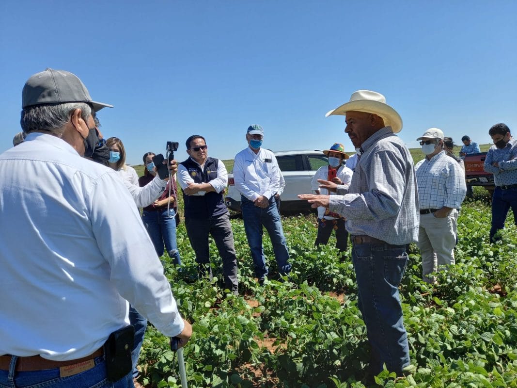 SRE y Secretaría de Agricultura refuerzan la soberanía alimentaria con nuevos convenios SRE y Secretaría de Agricultura refuerzan la soberanía alimentaria con nuevos convenios