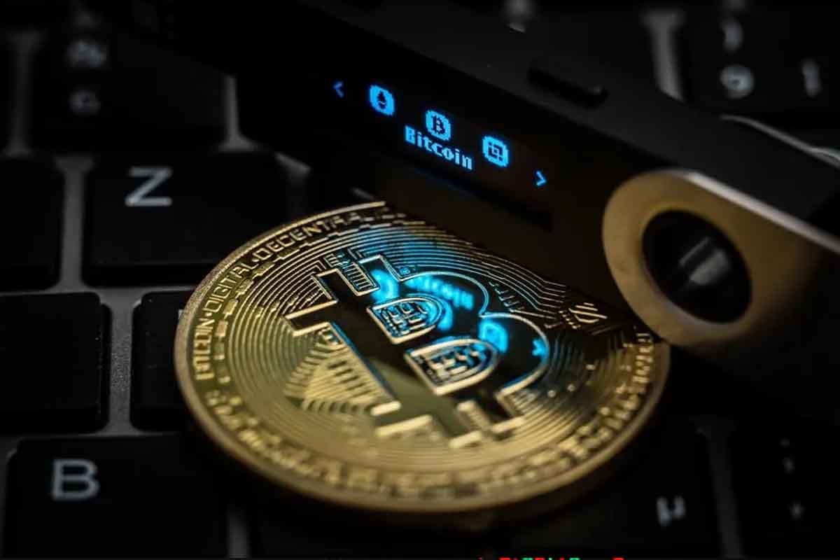Tu Fortaleza Digital: Guía Hot vs. Cold Wallet para Blindar tus Cripto