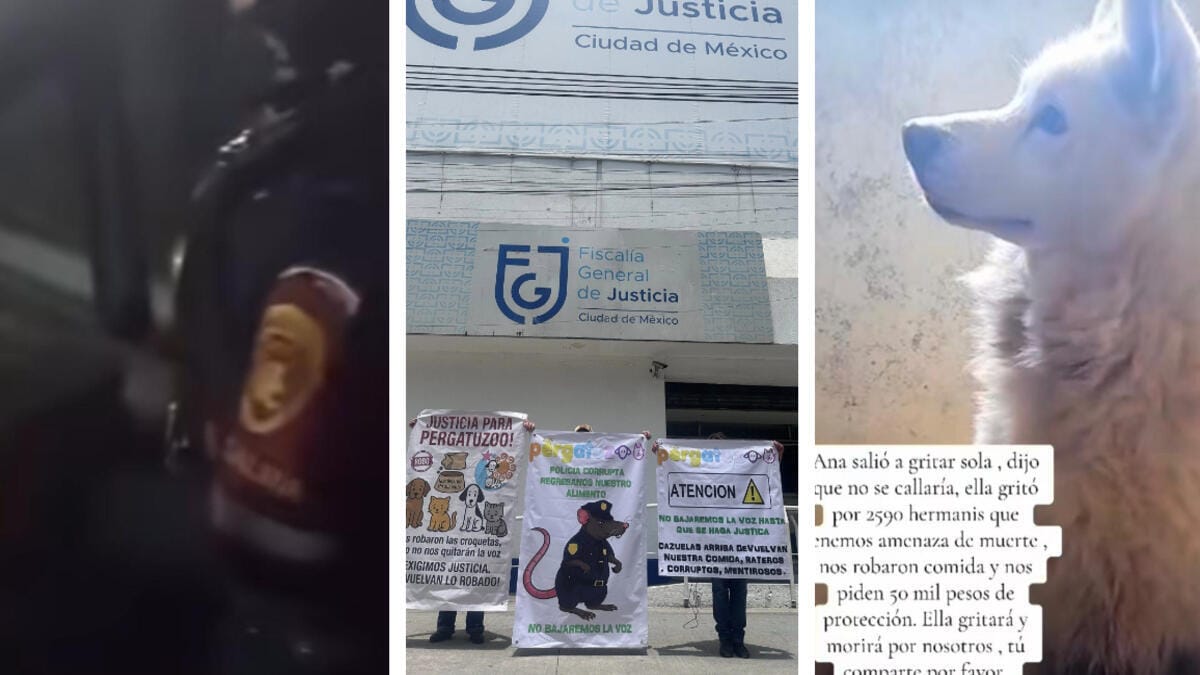 albergue-pergatuzoo-extorsion- Caso Pergatuzoo: Presionan al gobierno de CDMX por crisis de extorsión