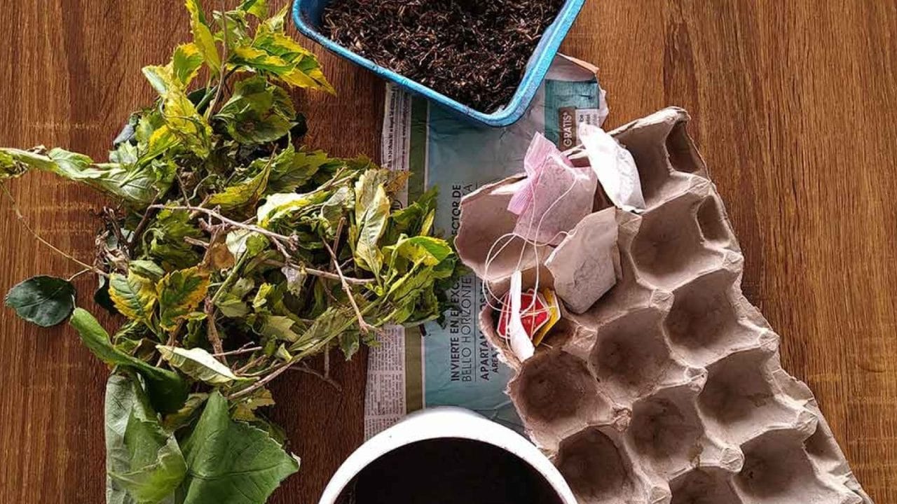 como_hacer_composta Tu basura vale oro: La guía definitiva para hacer composta en casa (incluso en un departamento)