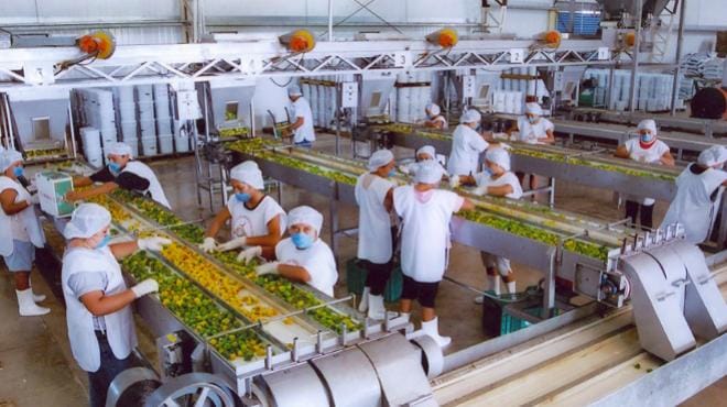 Yucatán destaca en el sureste con crecimiento económico de 2.1% anual