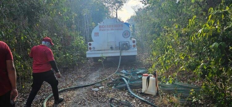 Liquidado el incendio forestal en Puerto Morelos; afectó ocho hectáreas