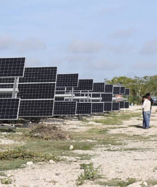 Construirán un parque solar en Ticul; piden aval ambiental a Semarnat