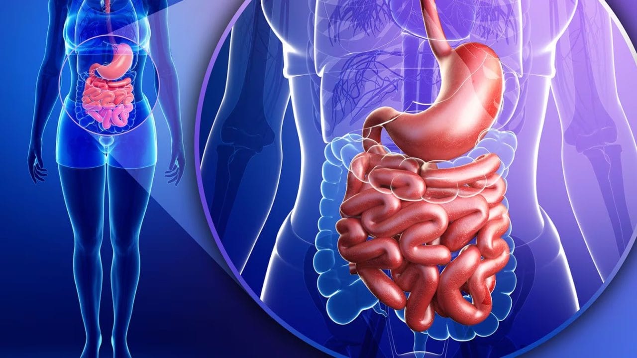 Microplásticos y salud: El vínculo con enfermedades intestinales se fortalece
