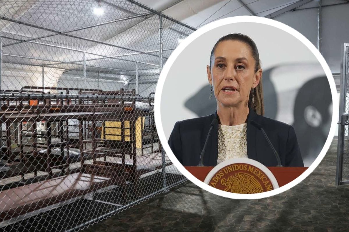 Sheinbaum exige informe a SRE por denuncias en Alligator Alcatraz