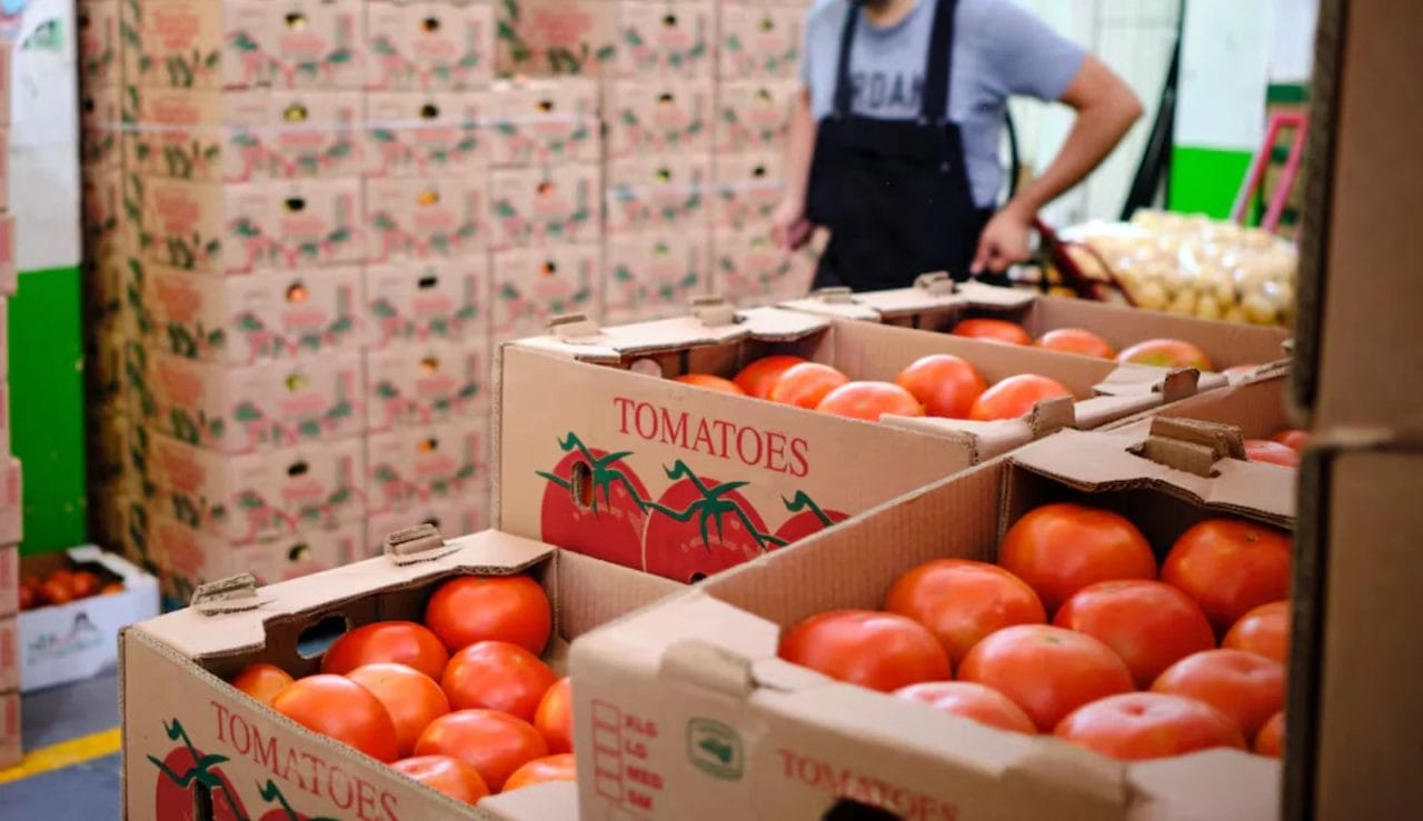 EU impone arancel del 17% al tomate mexicano; productores en alerta