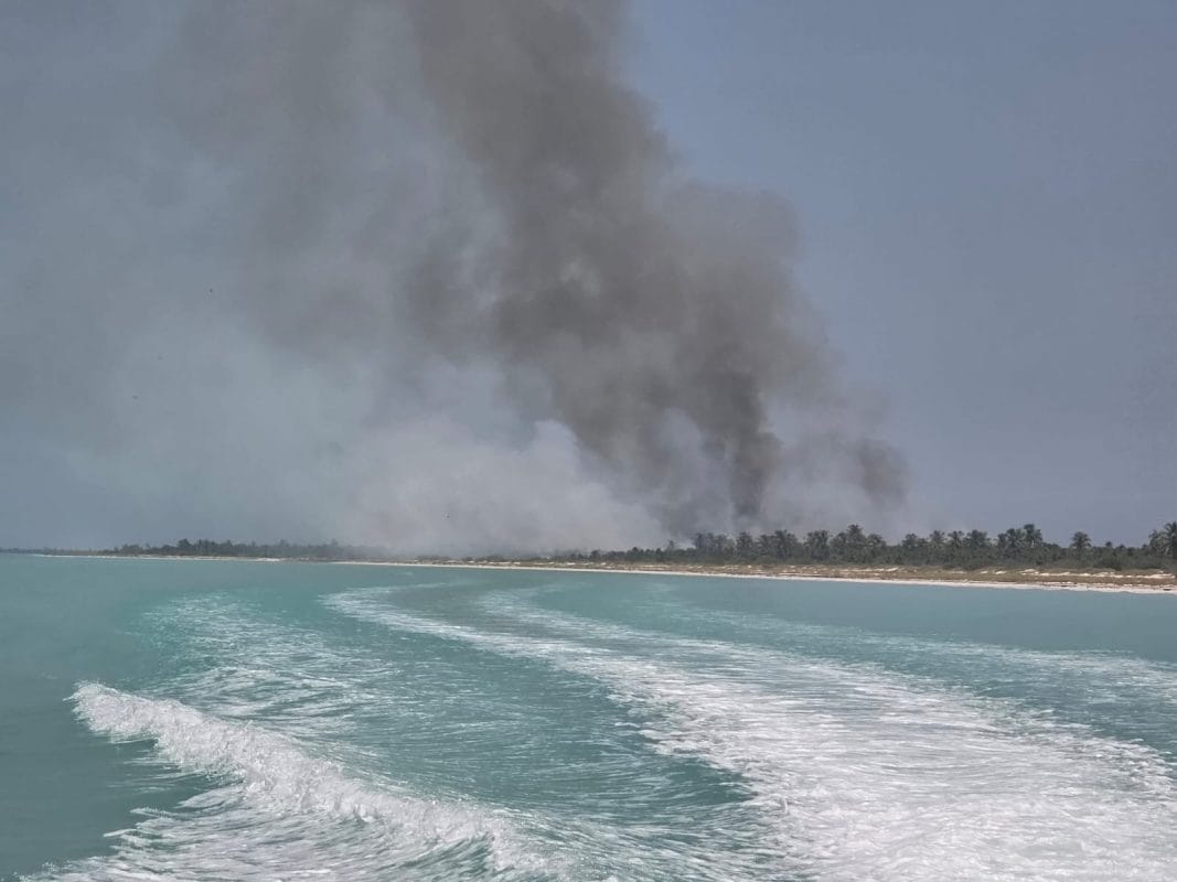Incendio forestal en Holbox consume 45 hectáreas del área protegida Yum Balam