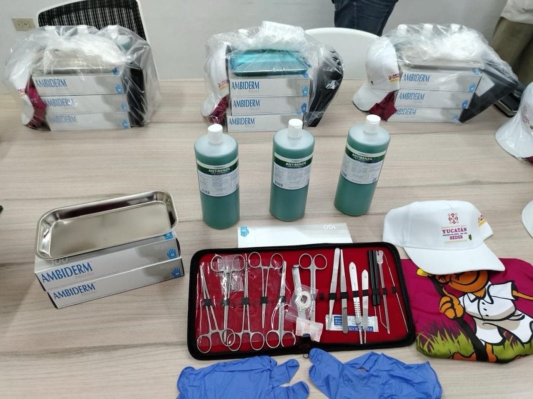 Yucatán refuerza control por mosca del gusano barrenador Yucatán refuerza control por mosca del gusano barrenador