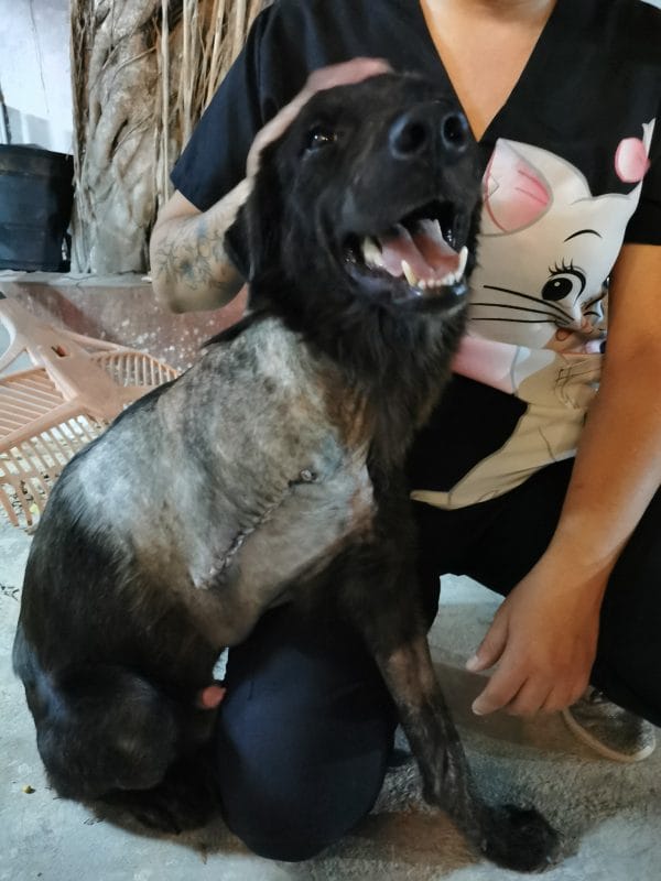 Justicia para Negrito: su agresor pasará 10 meses en prisión