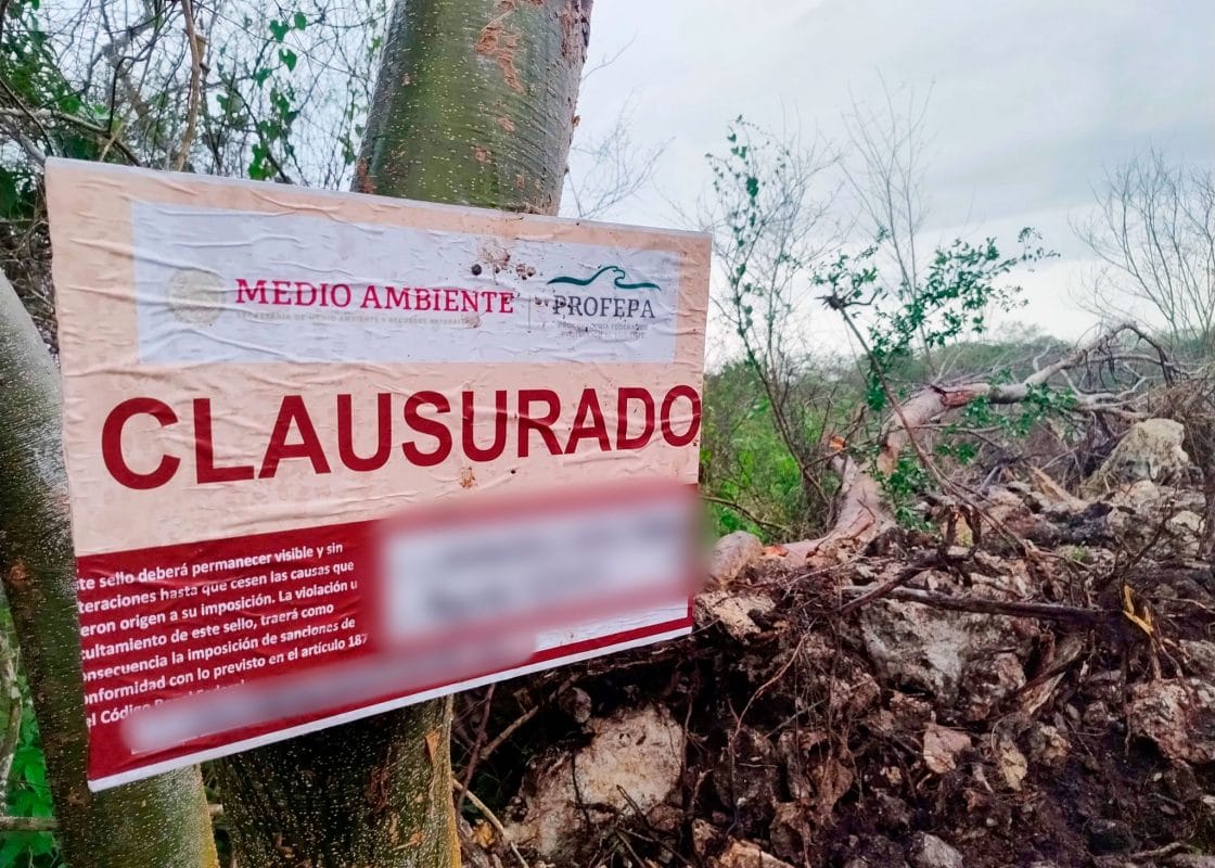 Profepa clausura predio por devastación en Reserva Cuxtal