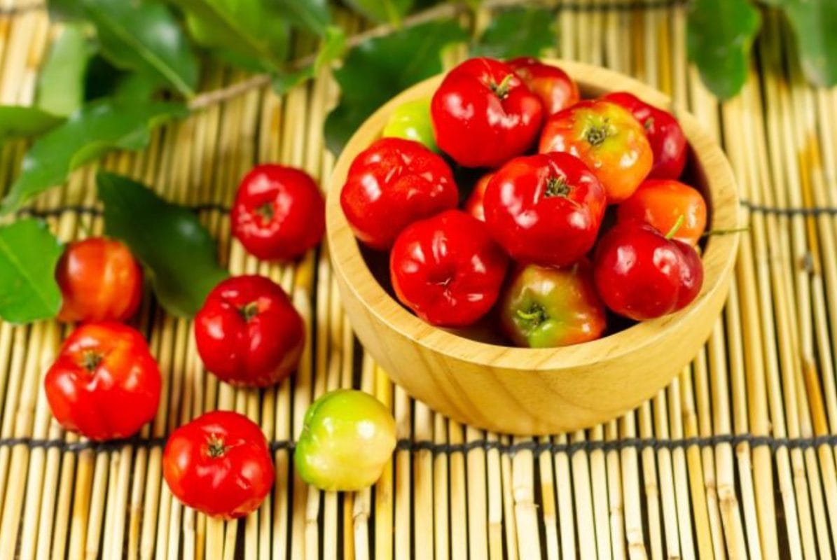 Acerola: la cereza brasileña con altísimos niveles de vitamina C natural