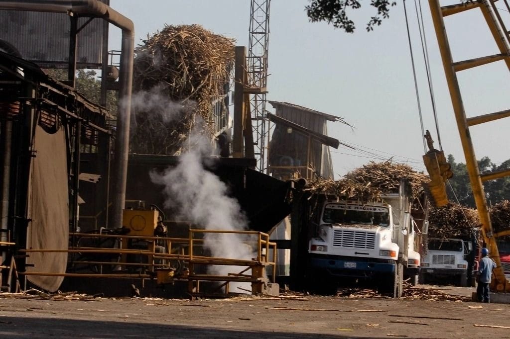 Cañeros en Michoacán exigen pensión digna: sobreviven con 5 mil pesos