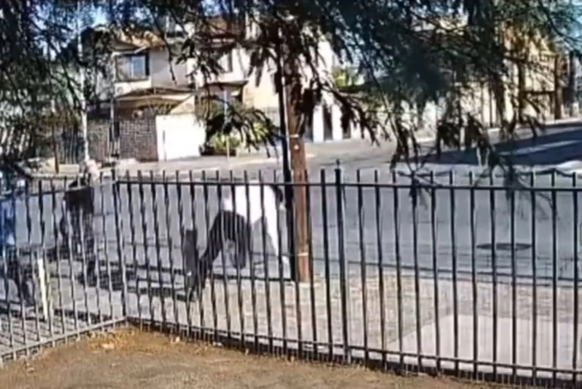 Comisión de Derechos Humanos de BC solicita protección urgente para el periodista Jorge Heras