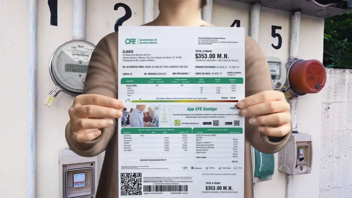 Descuento del 50% en la luz con tarjeta INAPAM_ esto dice la CFE__ Descuento del 50% en la luz con tarjeta INAPAM: esto dice la CFE