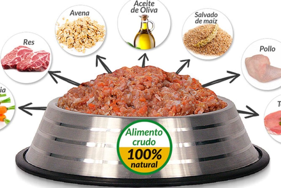 Dieta B.A.R.F.: alimentación natural y completa para perros y gatos