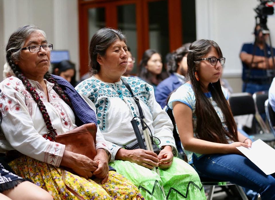Estados de México con mayor población indígena y afromexicana: más del 52 % son mujeres