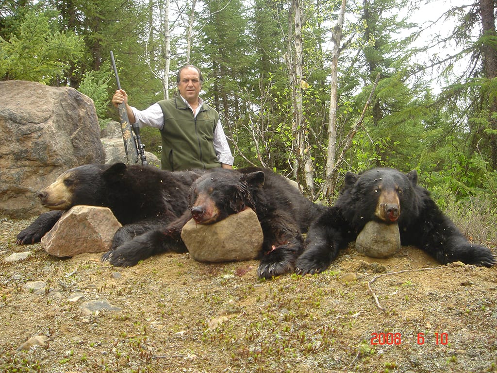 Florida autoriza primera caza de osos en más de 10 años: así será la polémica temporada