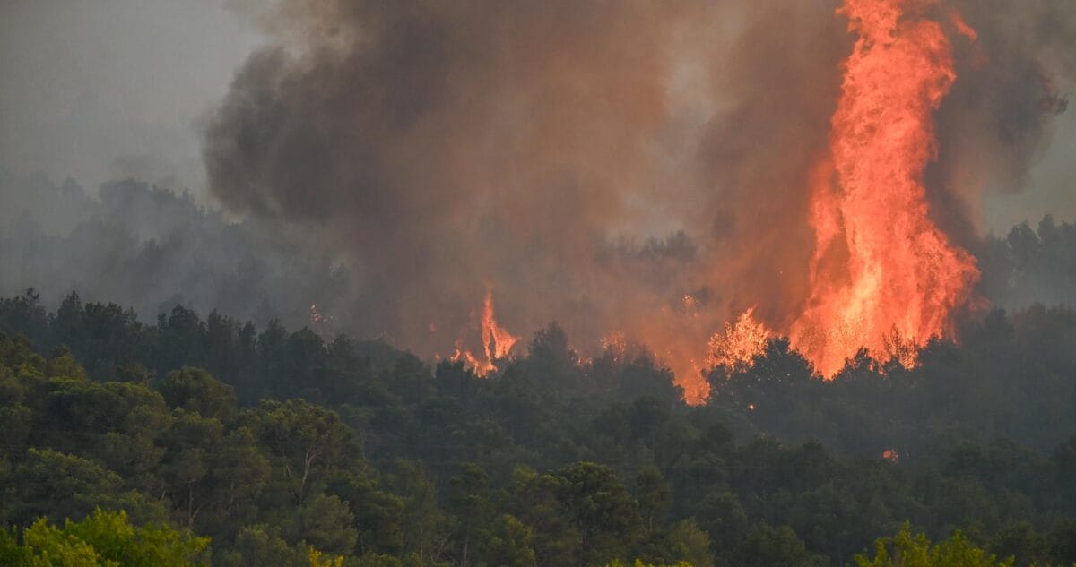 Francia enfrenta su peor incendio forestal en 80 años: 16 mil hectáreas devastadas Francia enfrenta su peor incendio forestal en 80 años: 16 mil hectáreas devastadas