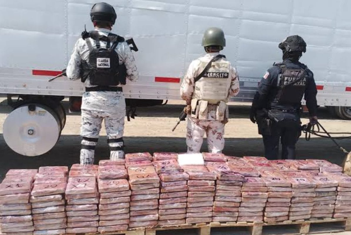 Golpe millonario al narcotráfico en Baja California: decomisan casi dos toneladas de droga