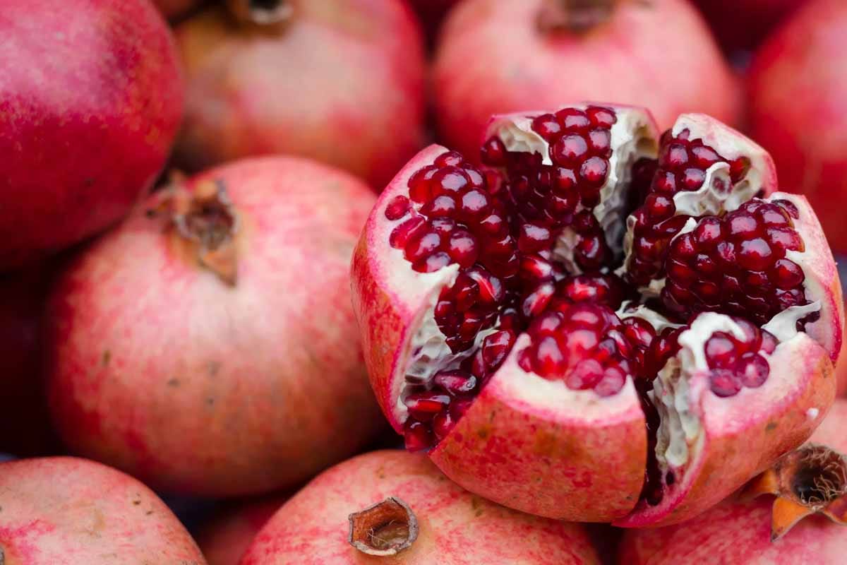 Granada: historia, sabor y tradición ancestral que enciende la parrilla mexicana