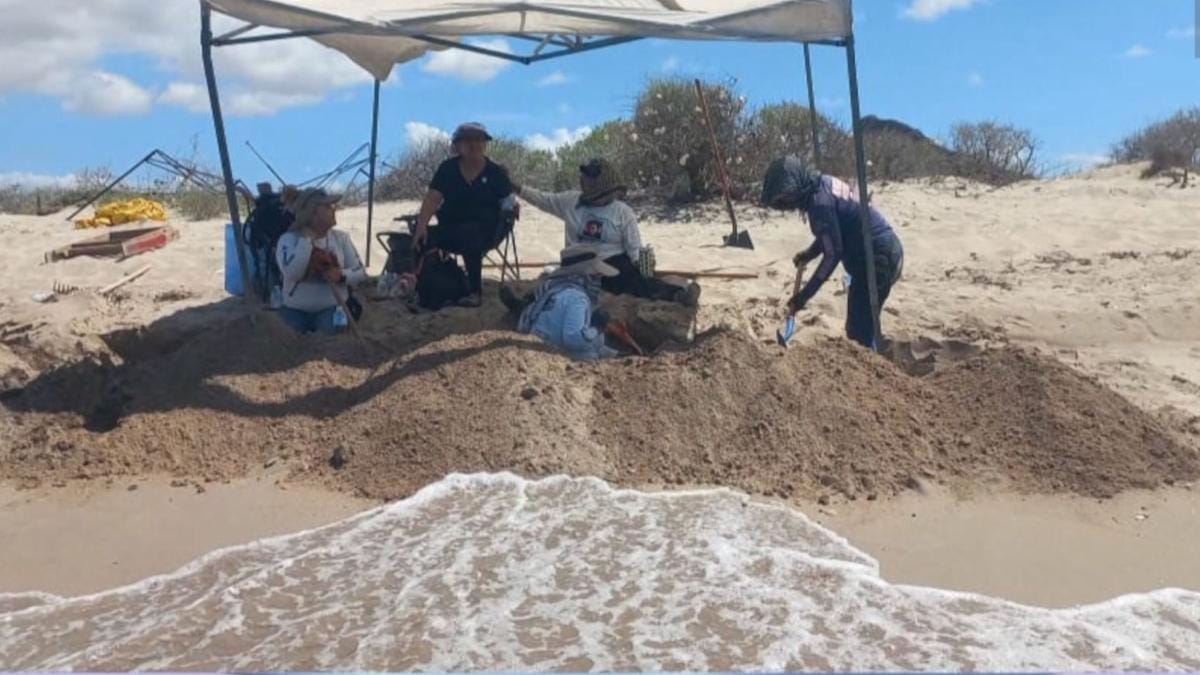 Hallan aparente fosa clandestina en playa de Sonora_ “La naturaleza los está desenterrando” Hallan aparente fosa clandestina en playa de Sonora: “La naturaleza los está desenterrando”