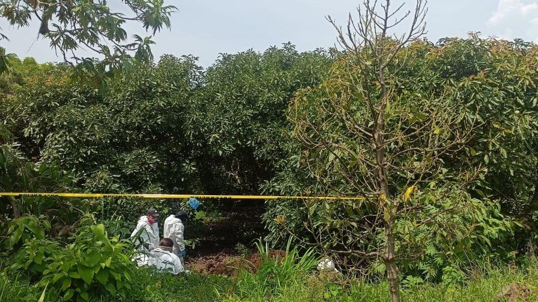 Hallan fosa clandestina con dos cuerpos en zona rural de Tepic, Nayarit