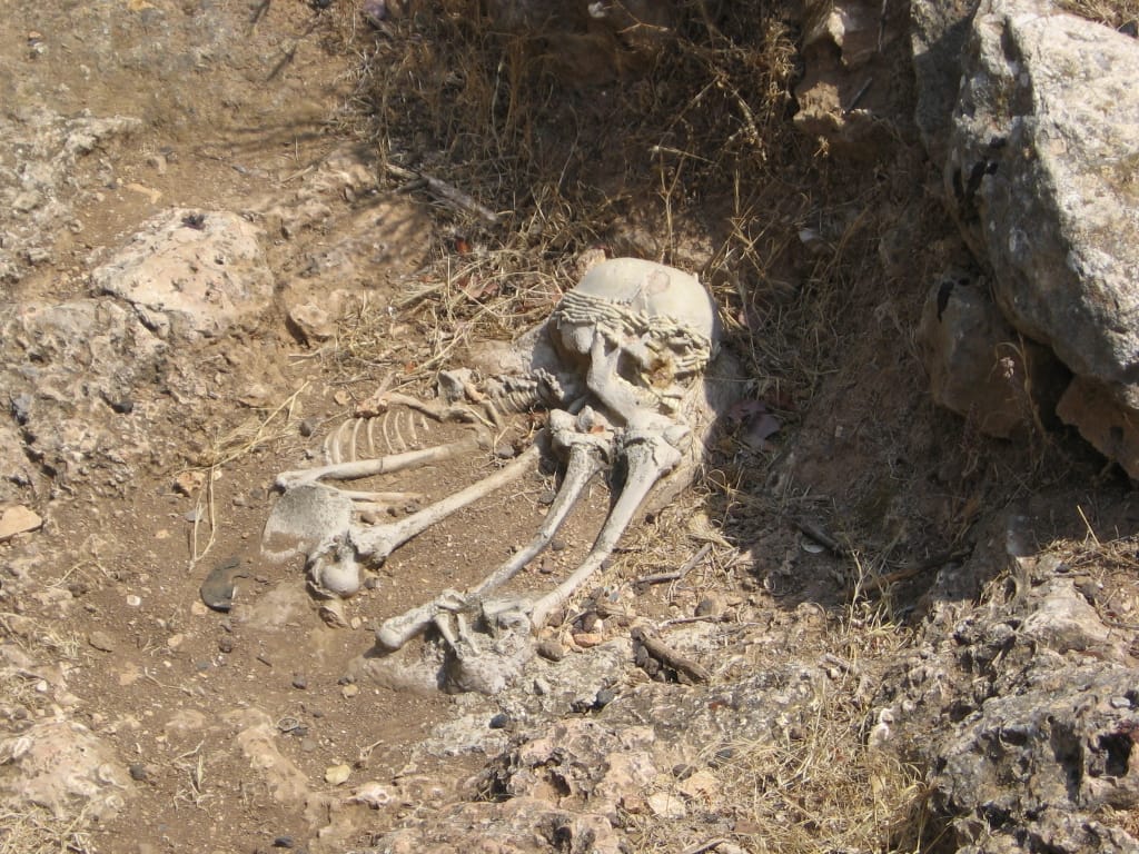 Investigación por posible reventa de tumbas en Jalisco tras exhumaciones irregulares