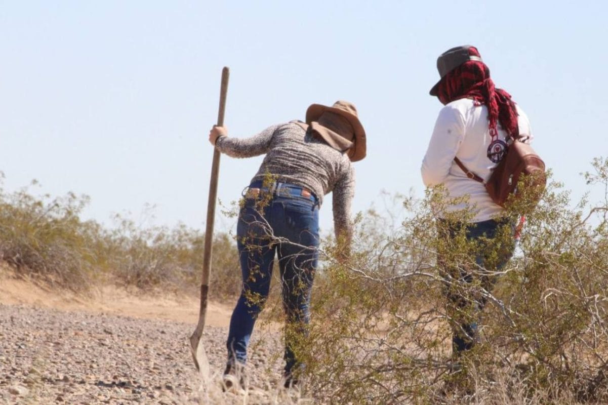México: 25 buscadores asesinados y 7 desaparecidos desde 2016
