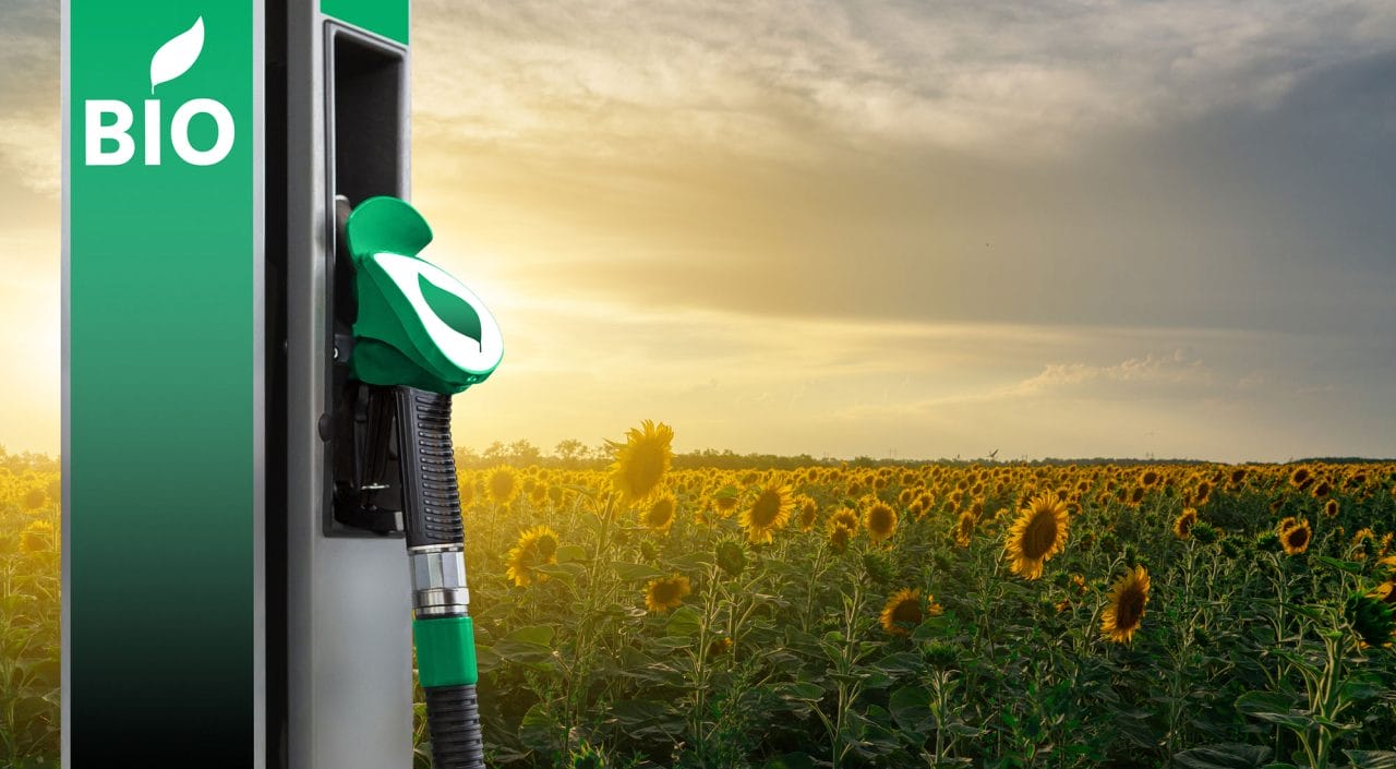 México dará un paso histórico al integrar biocombustibles en su plan energético