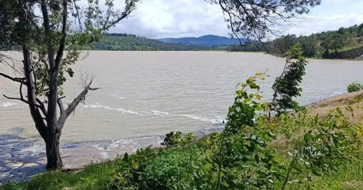 Nivel de agua en presas de Michoacán alcanza niveles críticos por lluvias