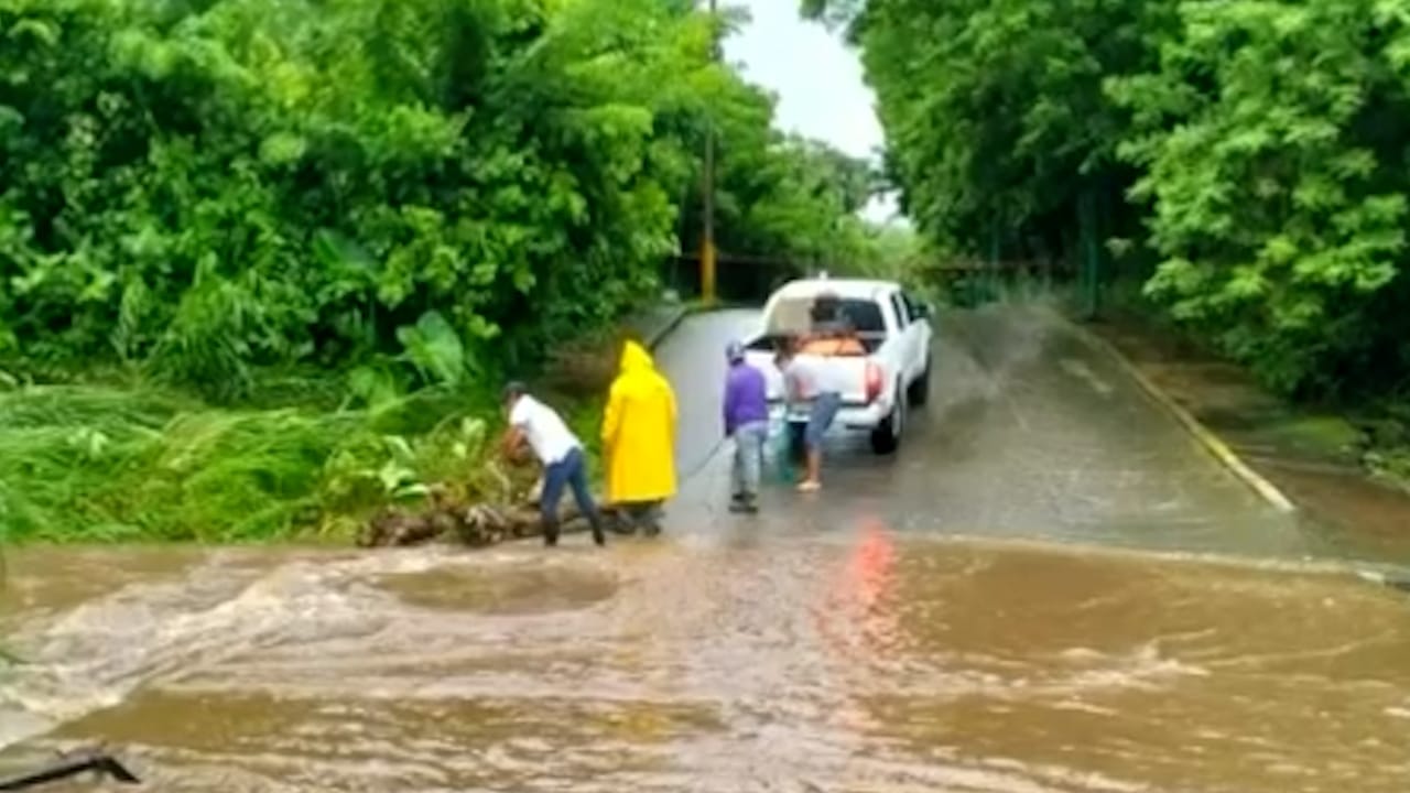 Caos en el puerto de Veracruz: encharcamientos, hundimientos y animales electrocutados