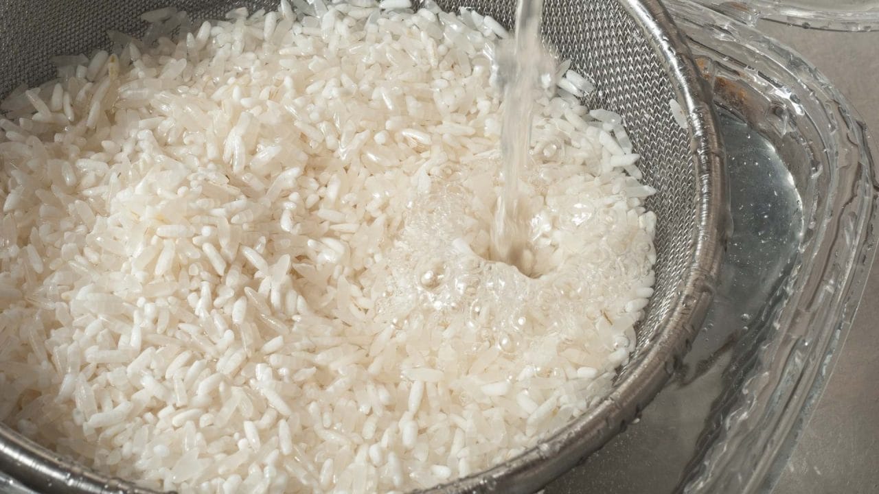 ¿Por qué el arroz blanco eleva el azúcar en sangre? Harvard lo explica